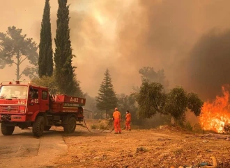 Türkiyədə meşə yanğınları yaşayış məntəqələrinə yaxınlaşıb