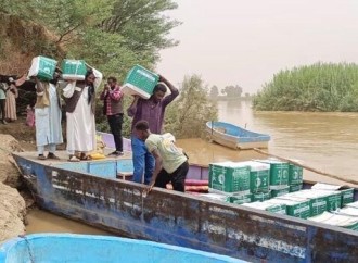 KSrelief Yəmən, Sudan və Çadda yardım səbəti paylayıb
