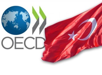 Türkiyənin İƏİT ölkələrinə ixracatı 11 milyard dolları keçib (Özəl)