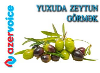 Yuxuda zeytun görmək necə yozulur