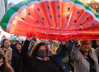 Fələstin müqavimətinin simvolu: Qarpız nəyi ifadə edir ?