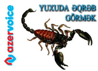 Yuxuda əqrəb görmək necə yozulur?