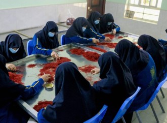 Taliban hakimiyyətinin 3 ili – Xarici uğurlar və daxili gərginlik