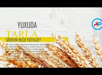 Yuxuda tarla görmək necə yozulur?