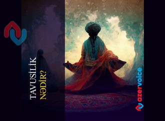 Tavusilik nədir?
