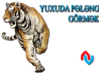 Yuxuda pələng görmək necə yozulur?