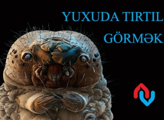 Yuxuda tırtıl görmək necə yozulur?