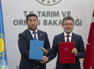 Türk dövlətləri sığorta birliyi qurula bilər