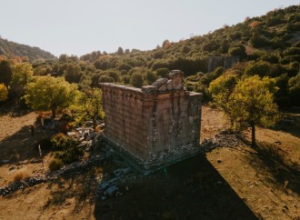 Məhsul Mövsümündə Türkiyənin Çiçək bağı