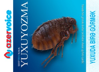Yuxuda birə görmək necə yozulur?