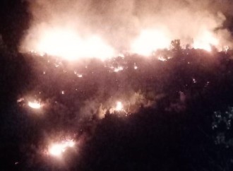 Antalyada meşəlik ərazidə yanğın baş verib