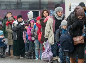 Avropada sığınacaq almaq üçün 1,14 milyon insan müraciət edib