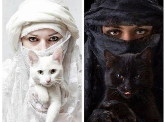 Misirdə fətvalar sosial mediada tənqidlərə səbəb olub