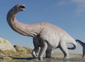 Tədqiqatçılar Afrika və Cənubi Amerikada eyni dinozavr izləri aşkar ediblər