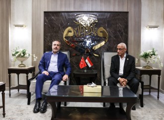 Hakan Fidan Bedr Abdulatinin dəvəti ilə Misirə səfər edib