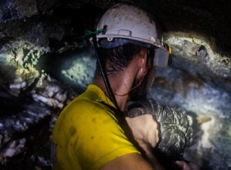 Türkiyənin yer altında 6 min 500 ton qızılı olduğu təxmin edilir