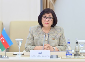 Sahibə Qafarova Bundestaqın komitəsi sədri ilə görüşüb