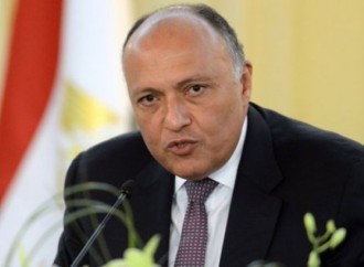Regiondakı qeyri-sabitliyin əsas səbəbi İsrail işğalının davam etməsidir - Misir XİN rəhbəri