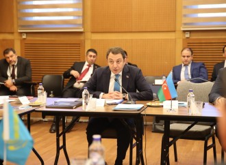 TDT-nin xarici işlər nazirlərinin müavinləri səviyyəsində çoxtərəfli siyasi məsləhətləşmələr keçirilib (FOTO)