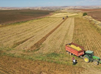 Türkiyənin kənd təsərrüfatı məhsulları ixracı 20 milyon dolları keçib (ÖZƏL)