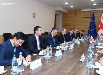 Ceyhun Bayramov gürcüstanlı həmkarı ilə görüşüb
