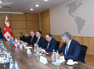 Ceyhun Bayramov gürcüstanlı həmkarı ilə görüşüb