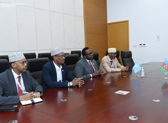 Ceyhun Bayramov Somali Baş nazirinin müavini ilə görüşüb