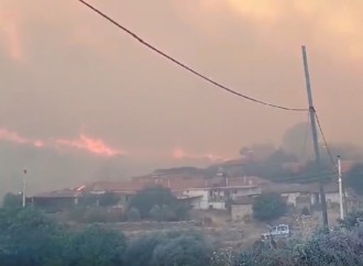Türkiyənin vilayətlərində yanğınlar davam edir
